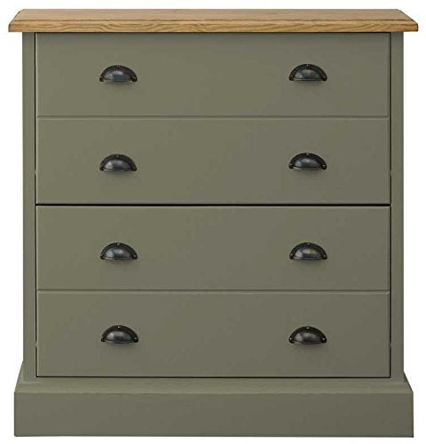 APRODZ Mango Wood Two Door Storage Truo Shoe Rack Cabinet for Living Room | Shoe Organizer | Blue