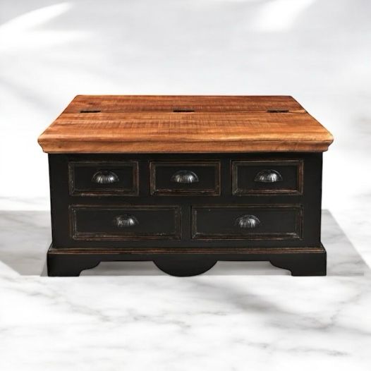 Mango Wood Pickergil Stylish Coffee Table with Drawer & Door for Living Room | Center Table for Home | Brown & Black Finish