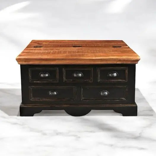 Mango Wood Pickergil Stylish Coffee Table with Drawer & Door for Living Room | Center Table for Home | Brown & Black Finish