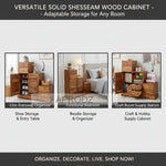 Sheesham Wood Storage Zuni Shoe Rack Cabinet for Living Room | 2 Shelf 4 Drawer Shoe Organizer | Mahogany 