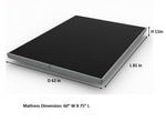 Cowen Floating Bed Frame with LED Lights Metal Slats Underbed Storage Space No Box Spring 