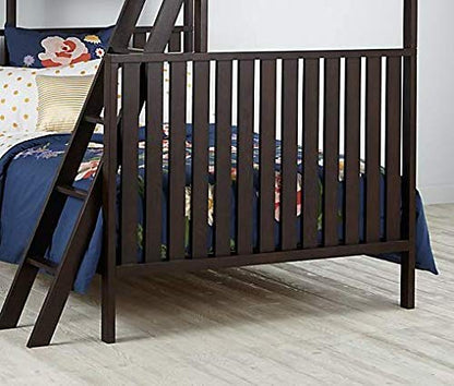 Sheesham Wood Roach Bunk Bed for Bedroom | Brown Finish Aprodz