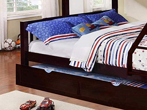 Solid Wood Bunk Bed  (Finish Color - Brown, DIY(Do-It-Yourself))