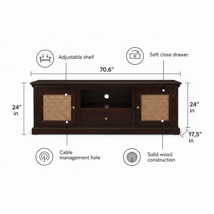 Translation missing: en.Sheesham Wood and Cane Tv Unit Cabinet | Two Door 