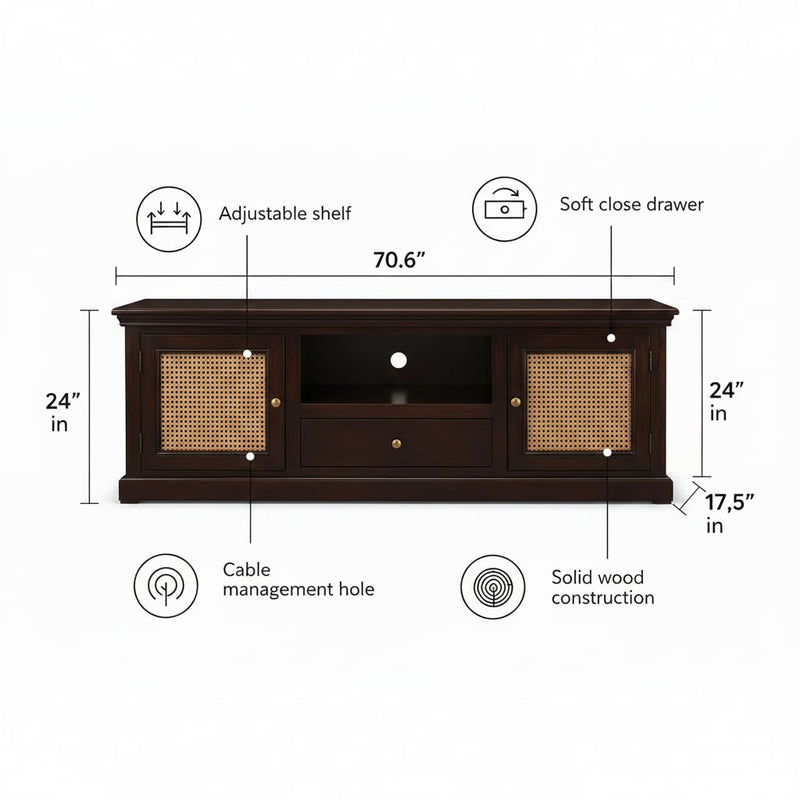 Sheesham Wood and Cane Tv Unit Cabinet | Two Door 