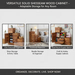 Sheesham Wood Storage Zuni Shoe Rack Cabinet for Living Room | 2 Shelf 4 Drawer Shoe Organizer | Brown 