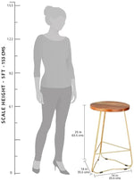 Bar Stool for Home bar, Counter Stool Chair Modern, Shop Industrial Stool with footrest, Black Metal and Wood, Set of 2 