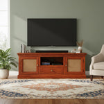 Sheesham Wood and Cane Tv Unit Cabinet | Two Door 