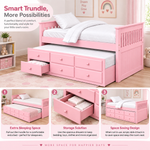 Oyster Daybed with Trundle Bed with Drawer Storage for Home | Bed 