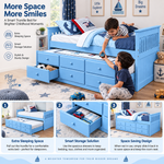 Oyster Daybed with Trundle Bed with Drawer Storage for Home | Bed 