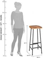 Home Jean Counter Height Bar Stools – Mango Wood & Steel Frame (Set of 2) 