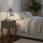 Mango Wood Tinto Stylish Bedside Table for Bedroom Living Room with 2 Drawer End Table 