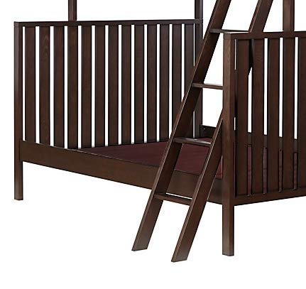 Sheesham Wood Roach Bunk Bed for Bedroom | Brown Finish Aprodz
