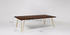 Mango Wood Juan Stylish Coffee Table for Living Room | Center Table for Home