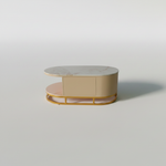 Mango Wood Coffee Table with Marble Top & 2 Drawers – Tan & Gold 