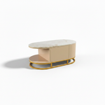 Mango Wood Coffee Table with Marble Top & 2 Drawers – Tan & Gold 